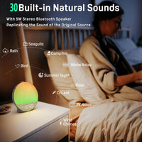 Wake Up Light Sunrise Alarm Clock